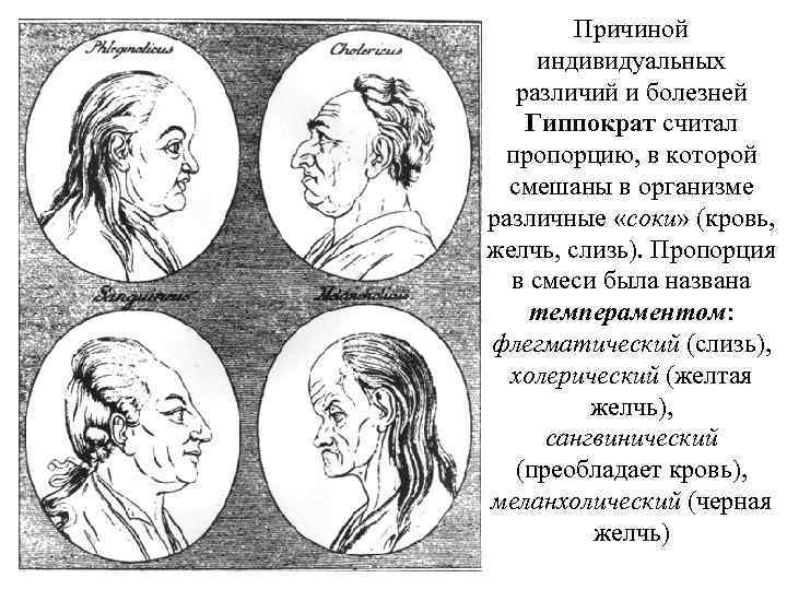   Причиной индивидуальных  различий и болезней Гиппократ считал пропорцию, в которой 