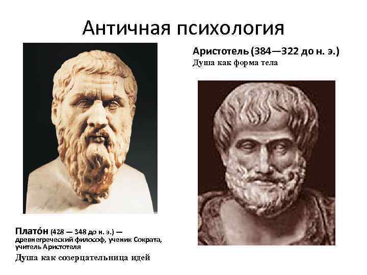    Античная психология    Аристотель (384— 322 до н. э.