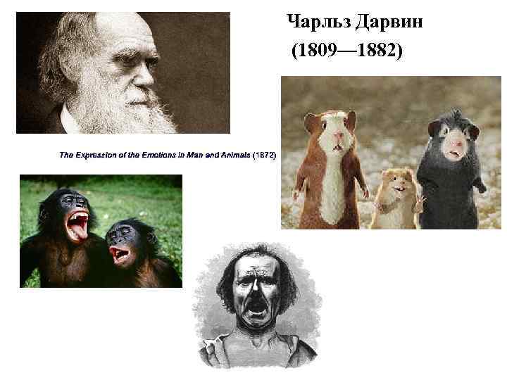 Чарльз Дарвин (1809— 1882) 