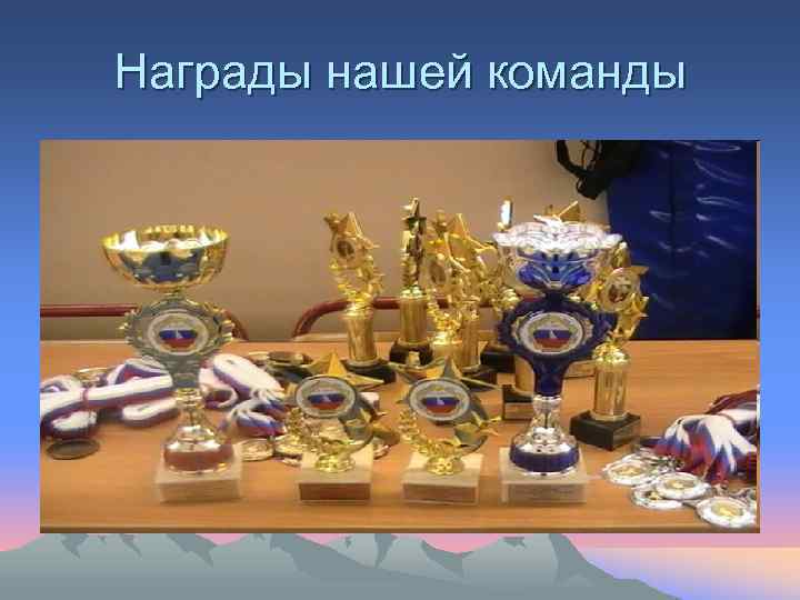 Награды нашей команды 