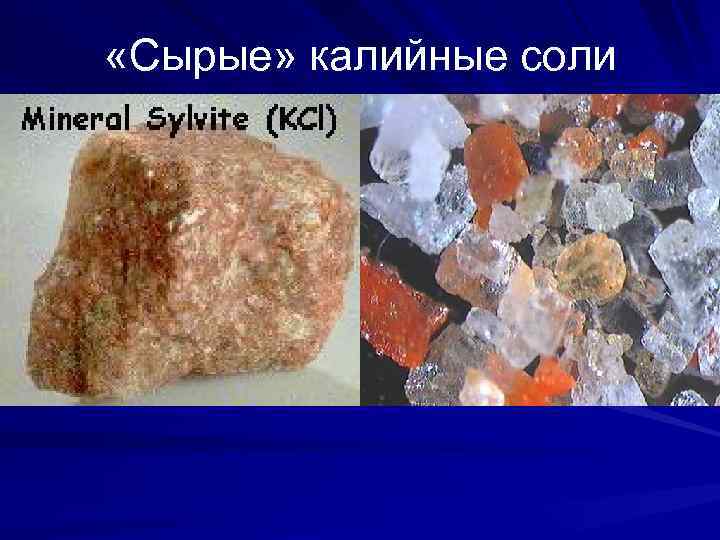  «Сырые» калийные соли 