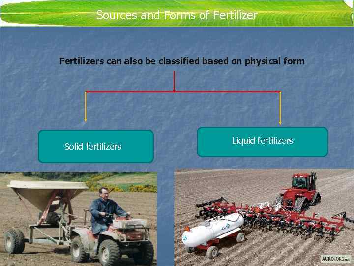    Sources and Forms of Fertilizers can also be classified based on