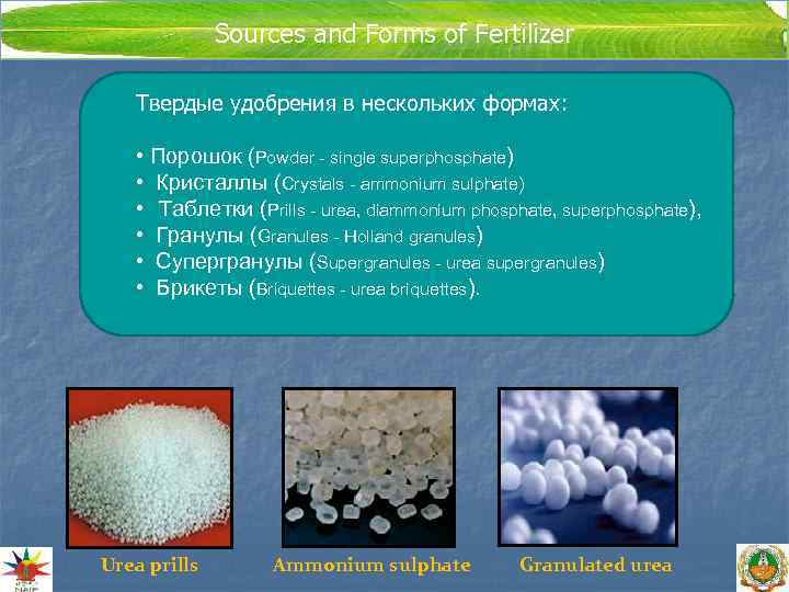      Sources and Forms of Fertilizer    Твердые