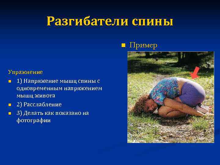   Разгибатели спины      n  Пример  Упражнение