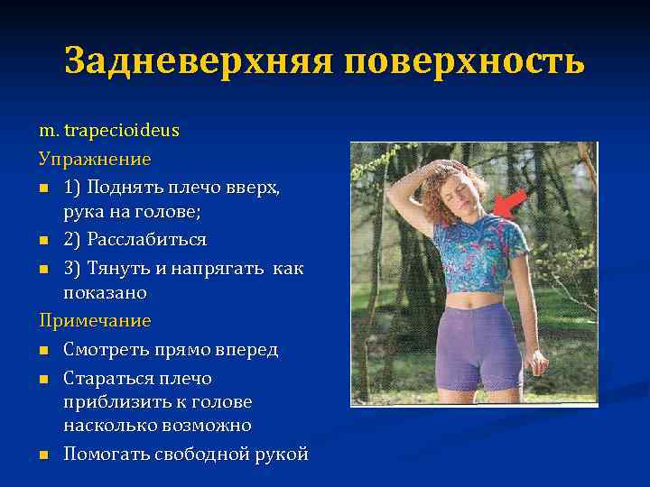  Задневерхняя поверхность m. trapecioideus Упражнение n 1) Поднять плечо вверх, рука на голове;