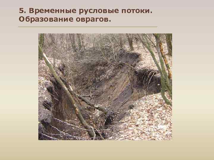 5. Временные русловые потоки.  Образование оврагов.  