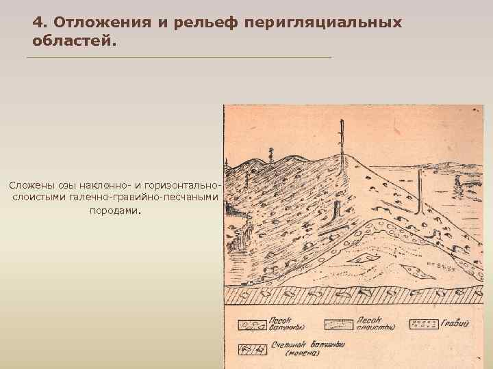   4. Отложения и рельеф перигляциальных областей. Сложены озы наклонно- и горизонтально- слоистыми