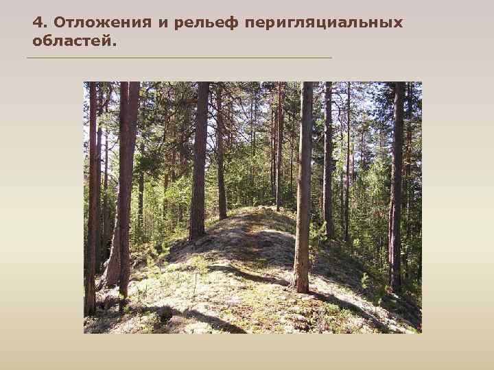 4. Отложения и рельеф перигляциальных областей. 