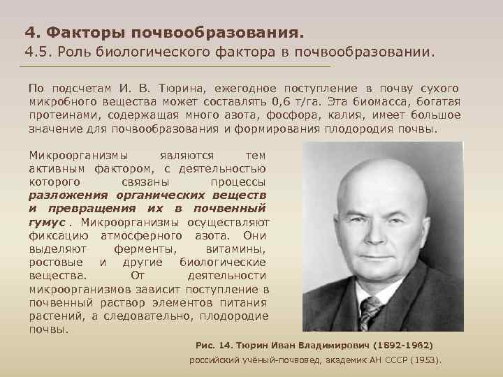 4. Факторы почвообразования. 4. 5. Роль биологического фактора в почвообразовании.  По подсчетам И.