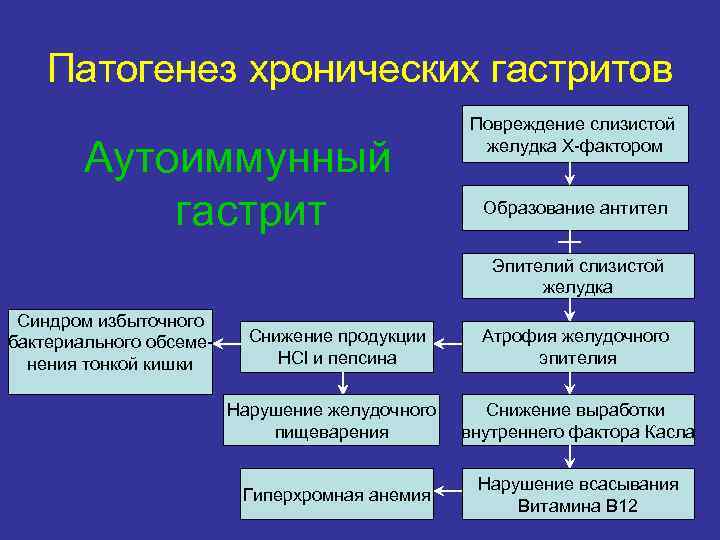 Патогенез хронических гастритов Повреждение слизистой Аутоиммунный Патогенез хронических гастритов Повреждение слизистой Аутоиммунный