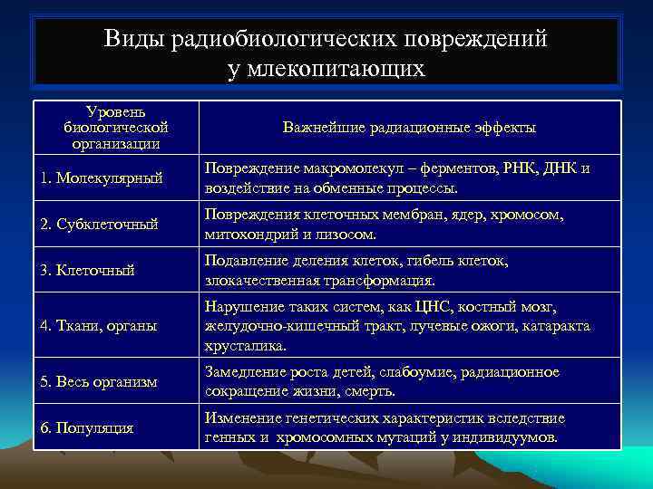   Виды радиобиологических повреждений   у млекопитающих  Уровень  биологической 