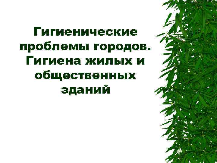  Гигиенические проблемы городов.  Гигиена жилых и  общественных  зданий 
