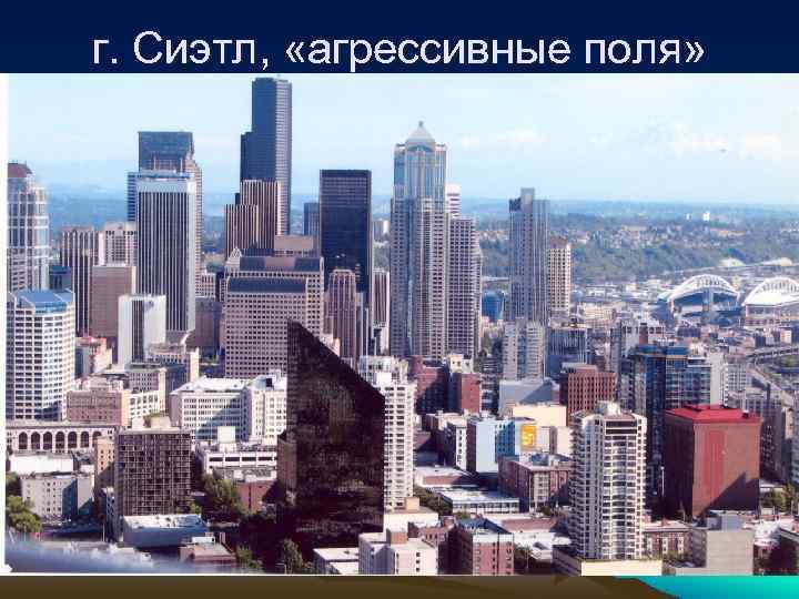 г. Сиэтл,  «агрессивные поля» 