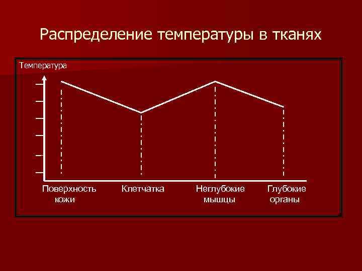   Распределение температуры в тканях Температура   Поверхность  Клетчатка  Неглубокие