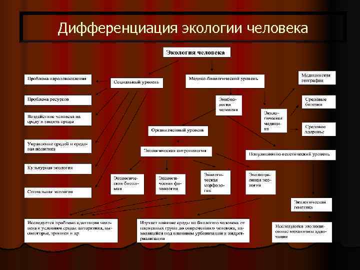 Дифференциация экологии человека 