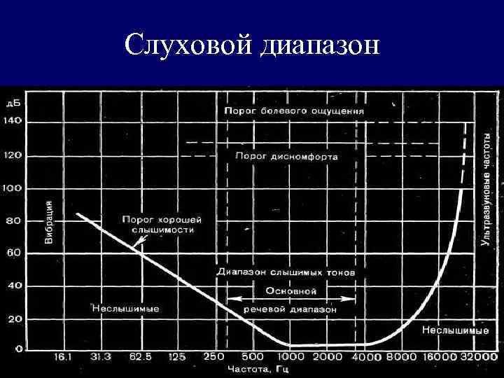 Слуховой диапазон 
