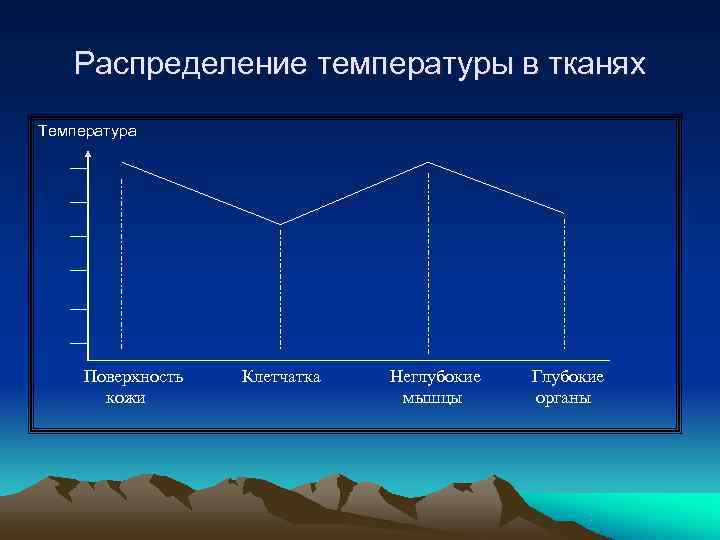   Распределение температуры в тканях Температура   Поверхность  Клетчатка  Неглубокие