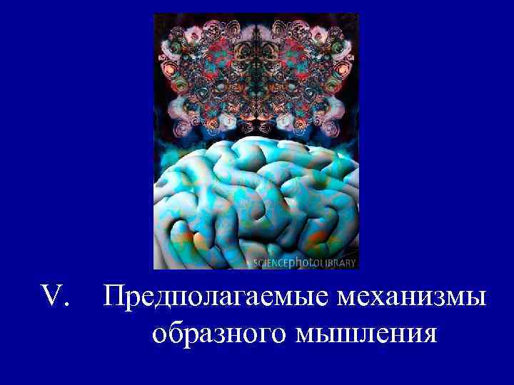 V. Предполагаемые механизмы образного мышления V. Предполагаемые механизмы образного мышления