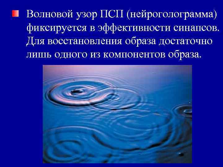 Волновой узор ПСП (нейроголограмма) фиксируется в эффективности синапсов. Для восстановления образа достаточно лишь одного Волновой узор ПСП (нейроголограмма) фиксируется в эффективности синапсов. Для восстановления образа достаточно лишь одного
