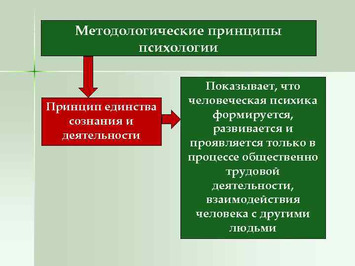   Методологические принципы   психологии    Показывает, что  