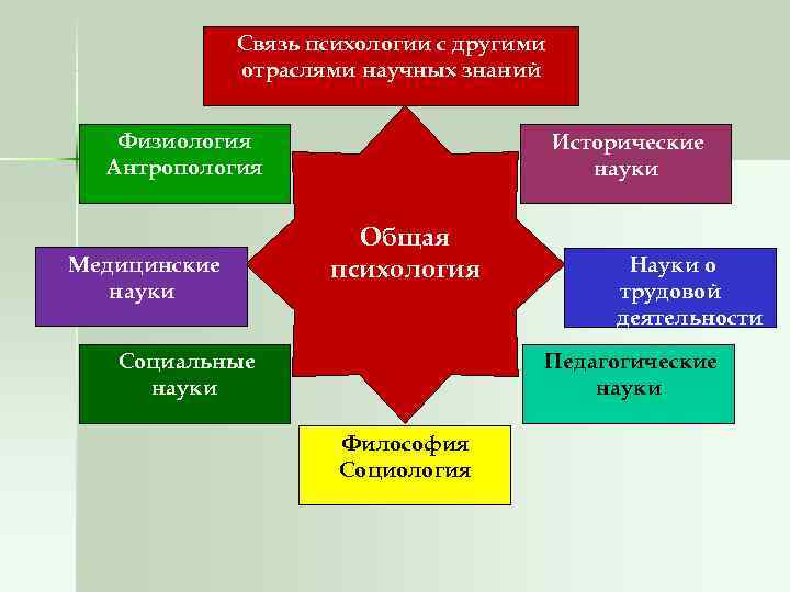    Связь психологии с другими    отраслями научных знаний Физиология