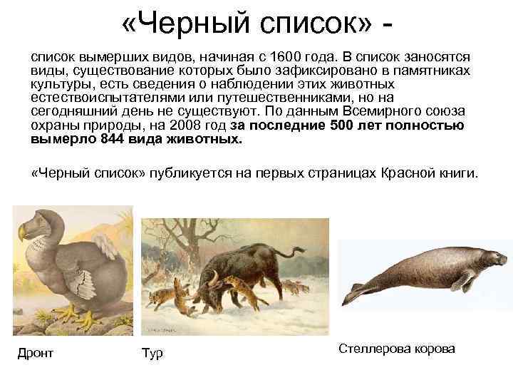    «Черный список» - список вымерших видов, начиная с 1600 года. В