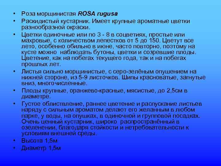  • Роза морщинистая ROSA rugusa • Раскидистый кустарник. Имеет крупные ароматные цветки 