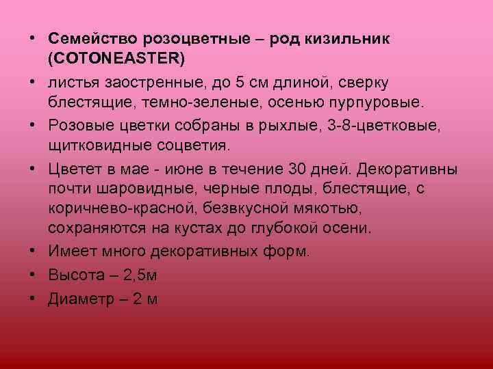  • Семейство розоцветные – род кизильник  (COTONEASTER) • листья заостренные, до 5