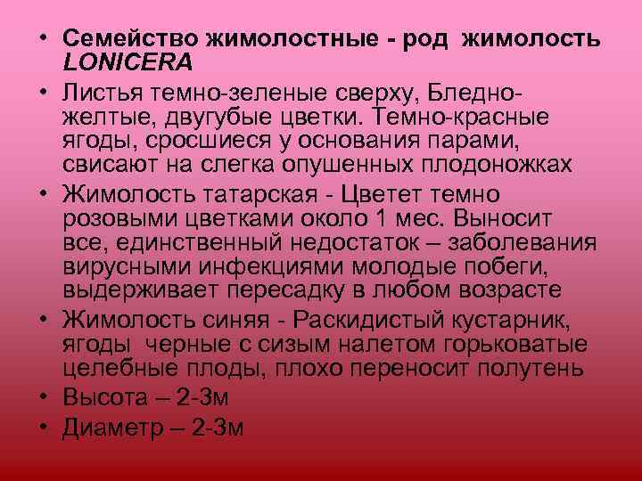  • Семейство жимолостные - род жимолость  LONICERA • Листья темно-зеленые сверху, Бледно-