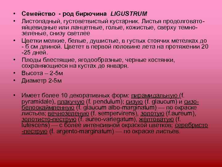 • Семейство - род бирючина LIGUSTRUM • Листопадный, густоветвистый кустарник. Листья продолговато- 