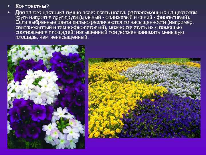  •  Контрастный •  Для такого цветника лучше всего взять цвета, расположенные
