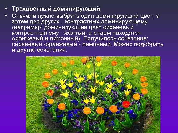  • Трехцветный доминирующий • Сначала нужно выбрать один доминирующий цвет, а  затем