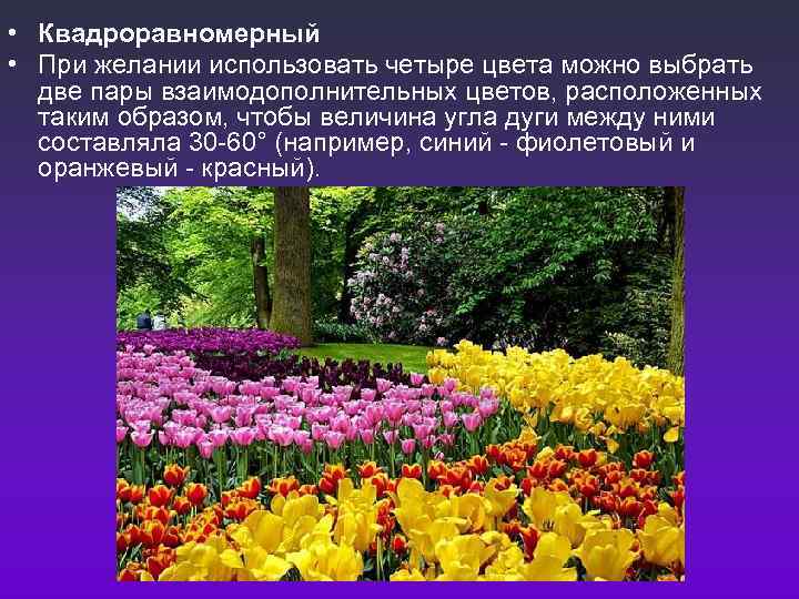  • Квадроравномерный • При желании использовать четыре цвета можно выбрать  две пары