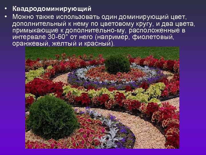 • Квадродоминирующий • Можно также использовать один доминирующий цвет,  дополнительный к нему