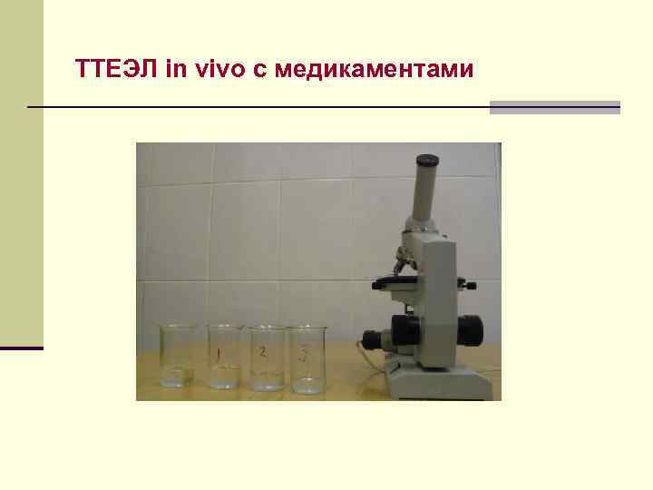 ТТЕЭЛ in vivo с медикаментами 