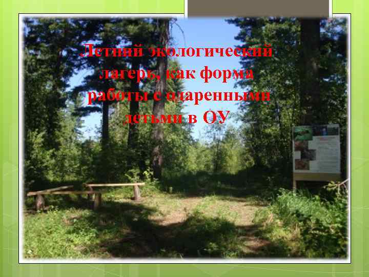 Летний экологический  лагерь, как форма работы с одаренными детьми в ОУ 