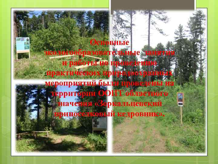   Основные экологообразовательные занятия и работы по проведению практических природоохранных мероприятий были проведены