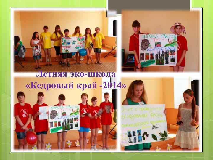  Летняя эко-школа «Кедровый край -2014» 