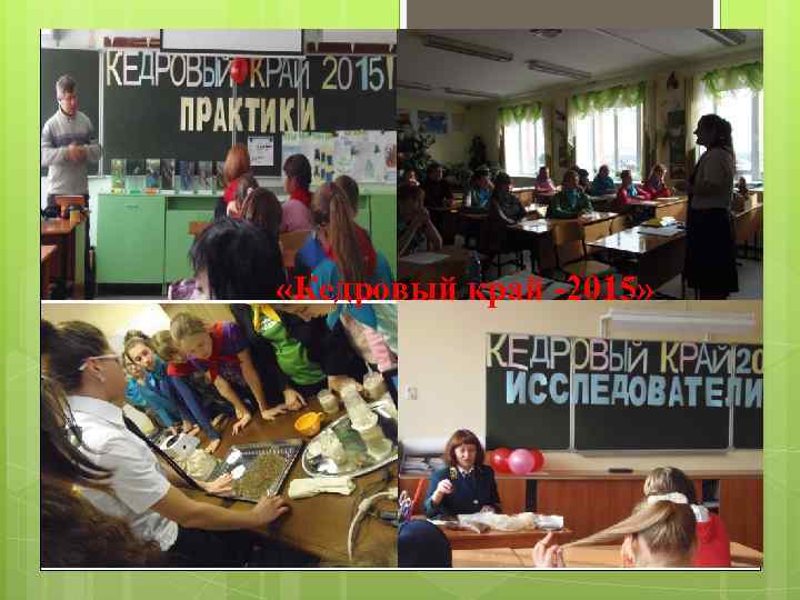  «Кедровый край -2015» 