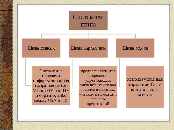      Системная    шина  Шина данных 