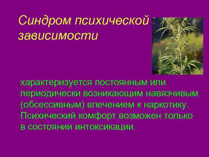  Синдром психической зависимости характеризуется постоянным или периодически возникающим навязчивым (обсессивным) влечением к наркотику.