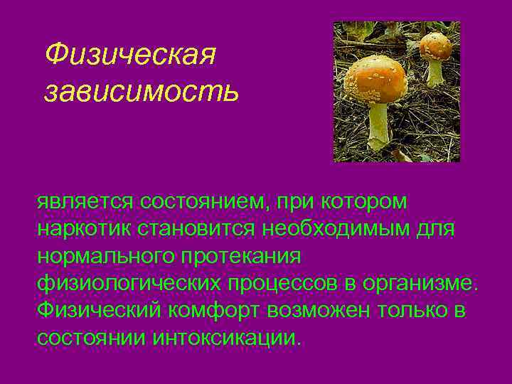 Физическая  зависимость  является состоянием, при котором наркотик становится необходимым для нормального