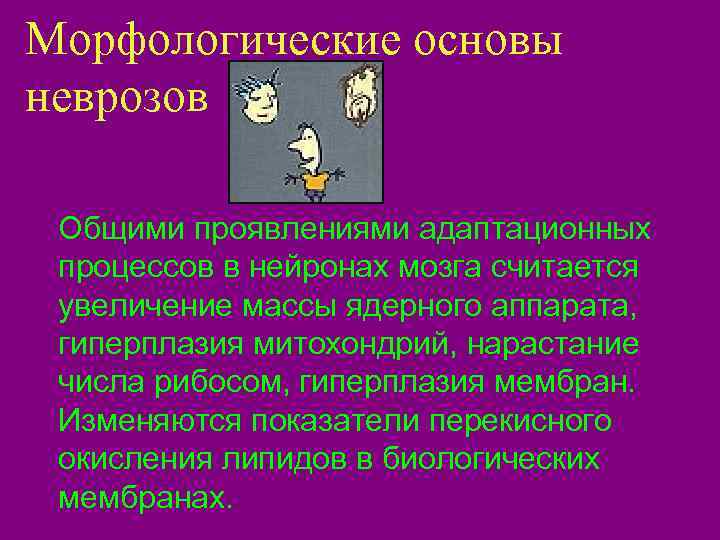 Морфологические основы неврозов  Общими проявлениями адаптационных процессов в нейронах мозга считается увеличение массы