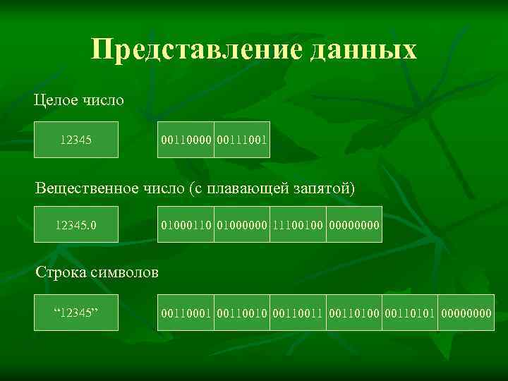   Представление данных Целое число 12345   00110000 00111001  Вещественное число