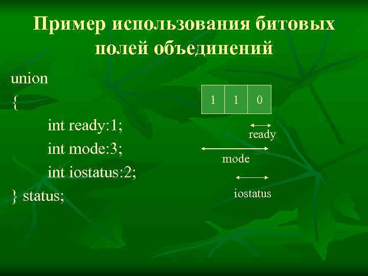   Пример использования битовых   полей объединений union {   