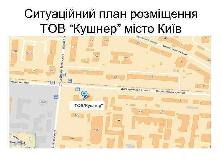 Ситуаційний план розміщення  ТОВ “Кушнер” місто Київ 