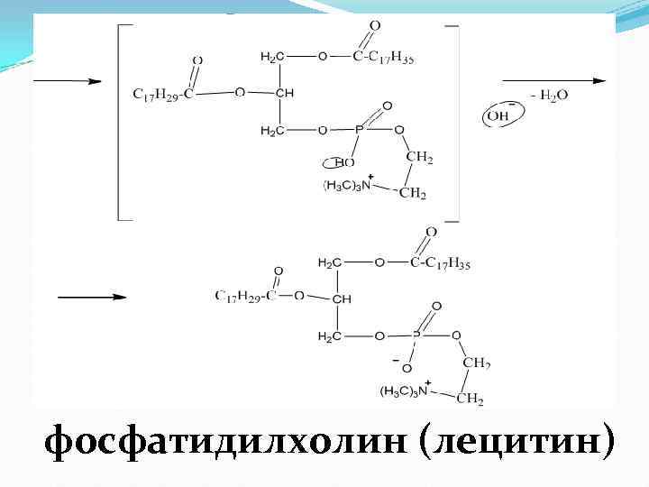 фосфатидилхолин (лецитин) 