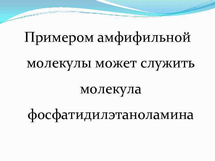 Примером амфифильной молекулы может служить   молекула фосфатидилэтаноламина 