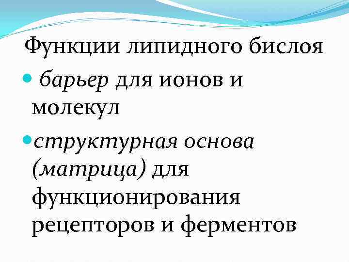 Функции липидного бислоя  барьер для ионов и  молекул структурная основа (матрица) для