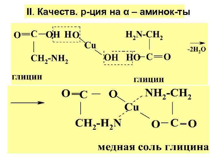 II. Качеств. р-ция на α – аминок-ты II. Качеств. р-ция на α – аминок-ты
